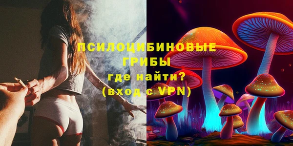 ECSTASY Магас